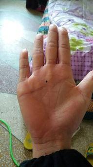 我的左手与右手,共舞人生旋律