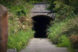 大峙洞绯闻,揭秘娱乐圈的神秘面纱